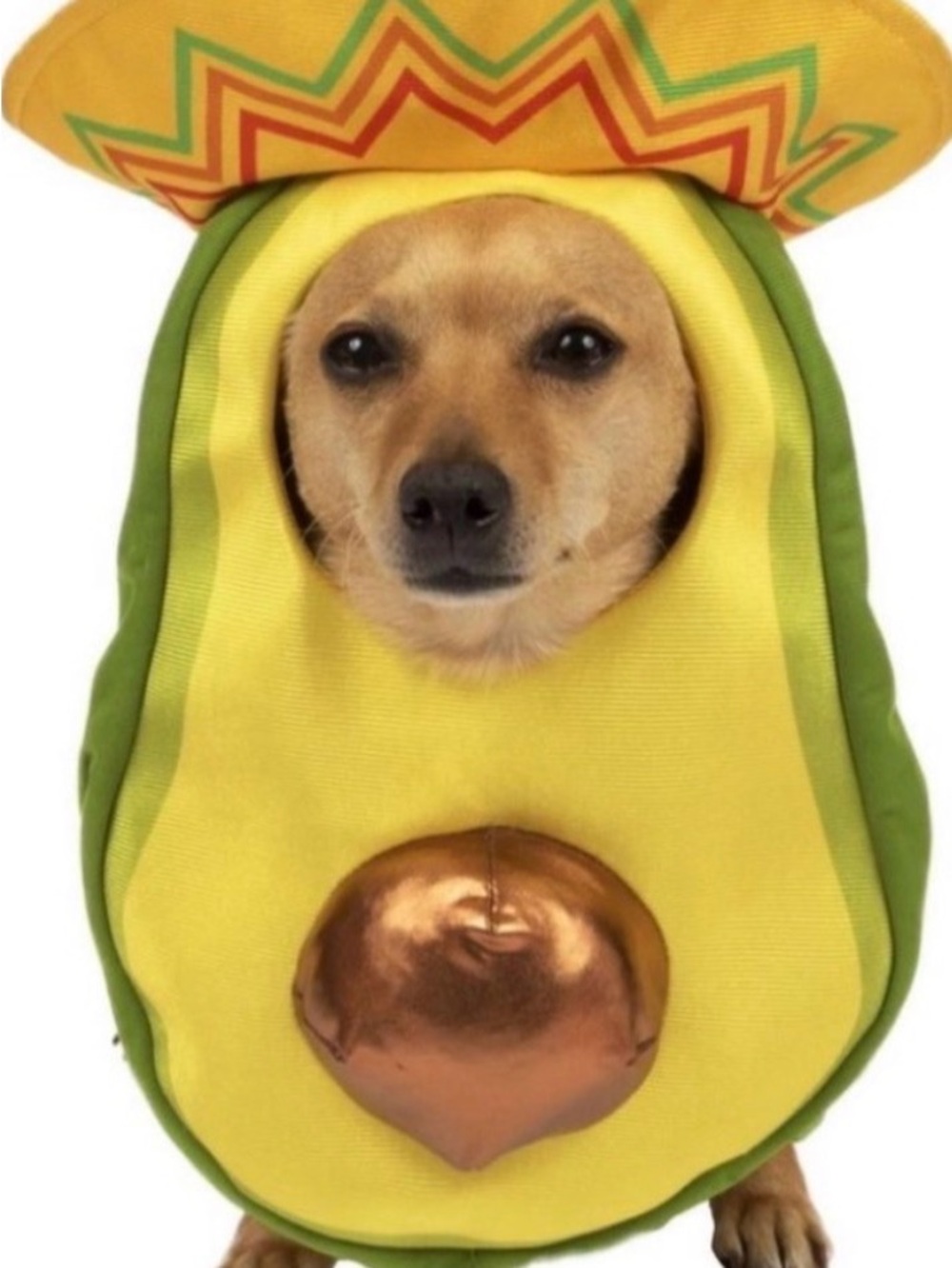 Avocado Pet Costume - Small Dog